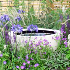 micropond or small pond in a container or water feature in a garden border of flowers