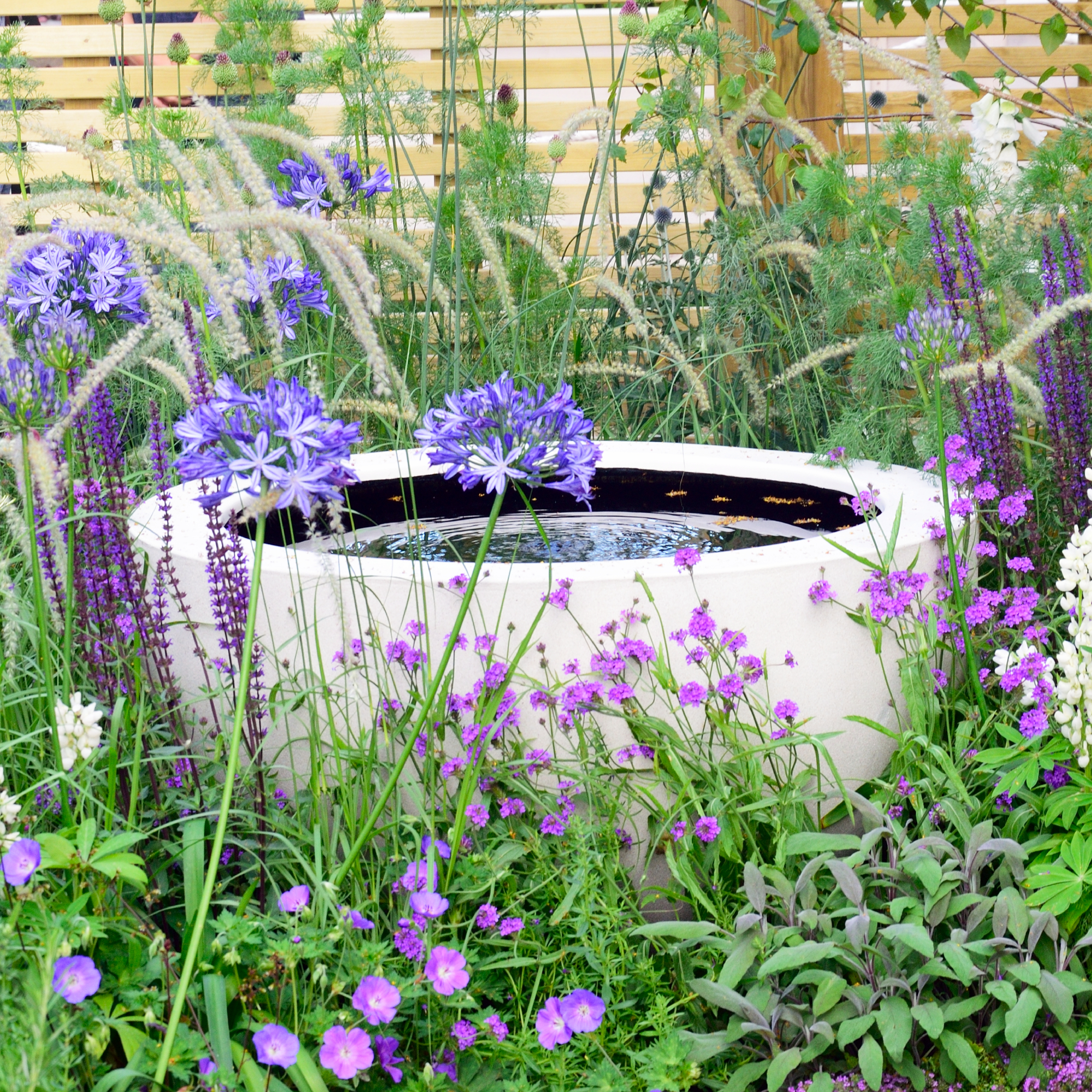 micropond or small pond in a container or water feature in a garden border of flowers