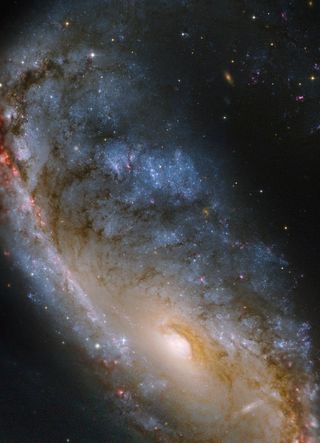 This close-up Hubble view of the Meathook Galaxy (NGC 2442) focuses on the more compact of its two asymmetric spiral arms as well as the central regions. The spiral arm was the location of a supernova that exploded in 1999. These Hubble observations were 