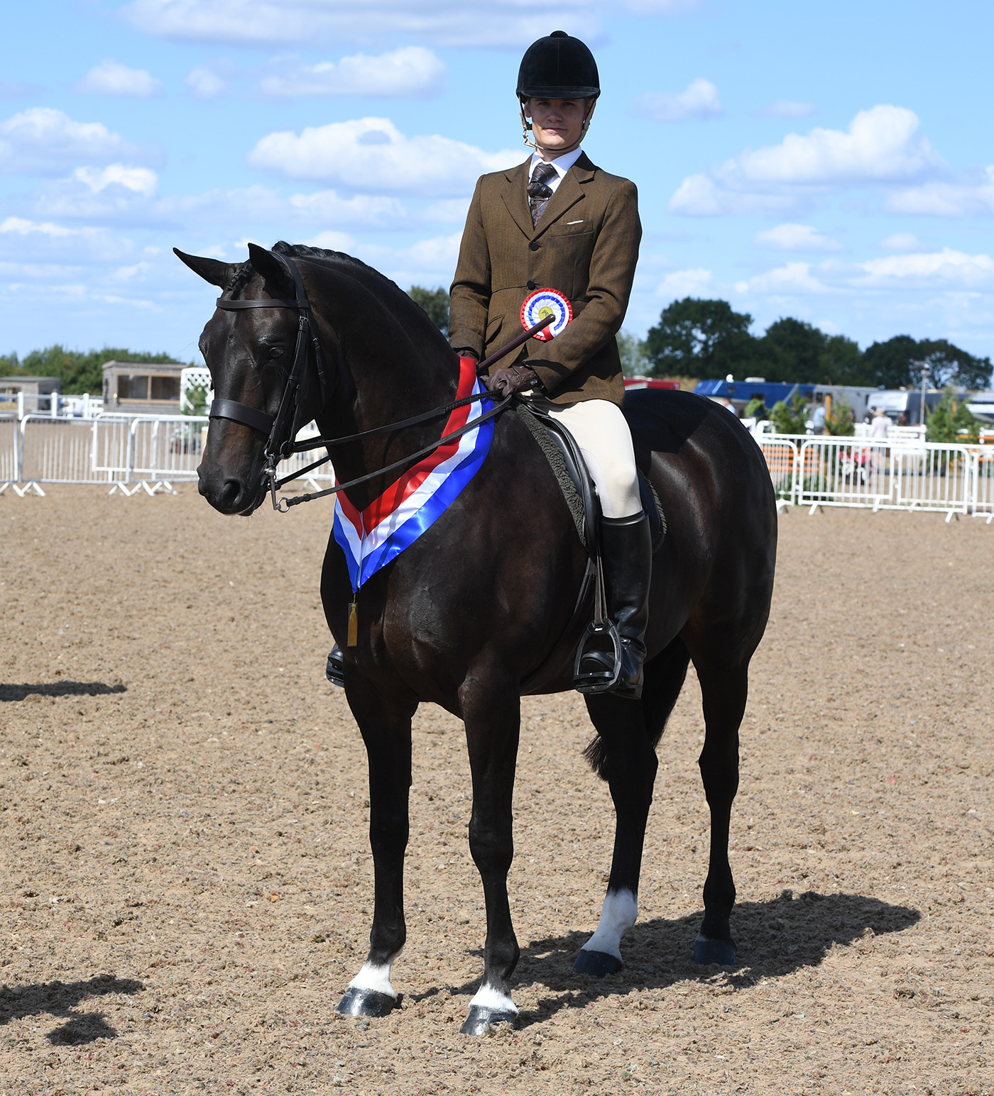 BSPS Champs. 27.08.22Intermediate Champs 1210 Carnsdale Wise Guy