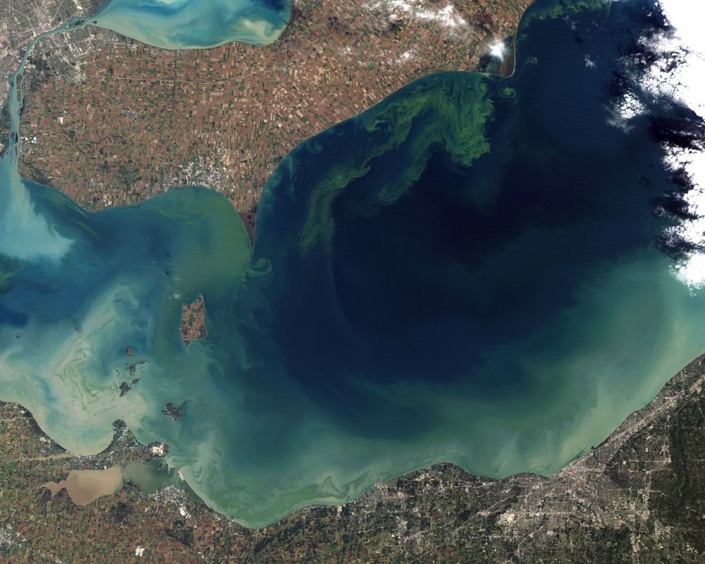 An image of the Lake Erie algae bloom acquired by NASA&#039;s Aqua satellite on October 9, 2011.