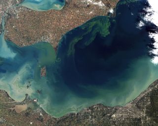 An image of the Lake Erie algae bloom acquired by NASA's Aqua satellite on October 9, 2011.