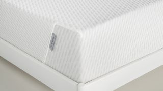 Tuft & Needle vs Purple: Which is the right foam mattress for you?