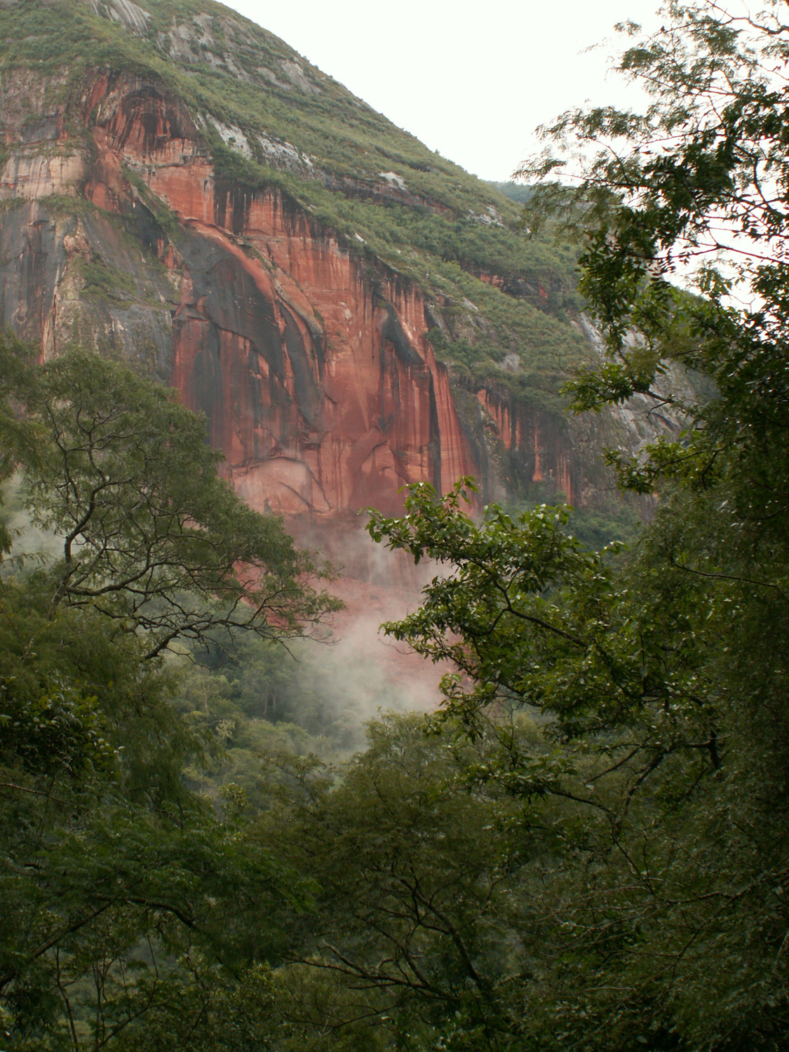 Gallery: Rare Species of the Andes & Amazon | Live Science