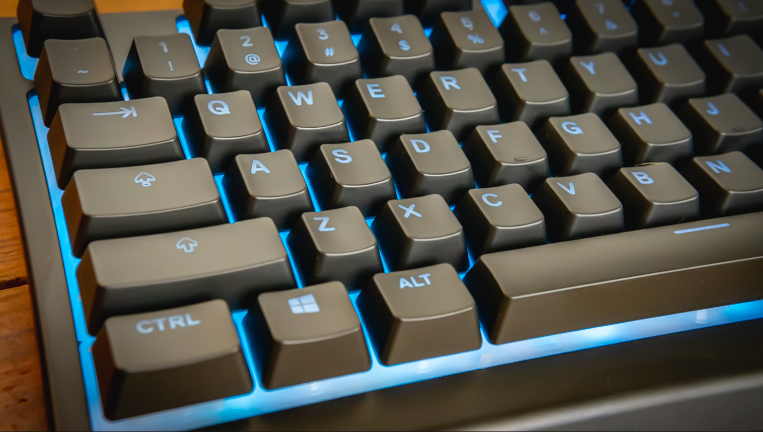 Apex TKL keyboard for gaming (Tenkeyless)