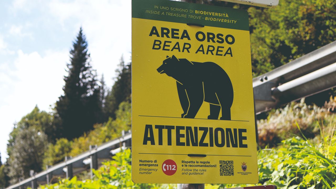 Image of a &#039;bear area&#039; sign by the side of the road