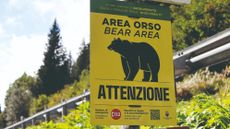 Image of a 'bear area' sign by the side of the road