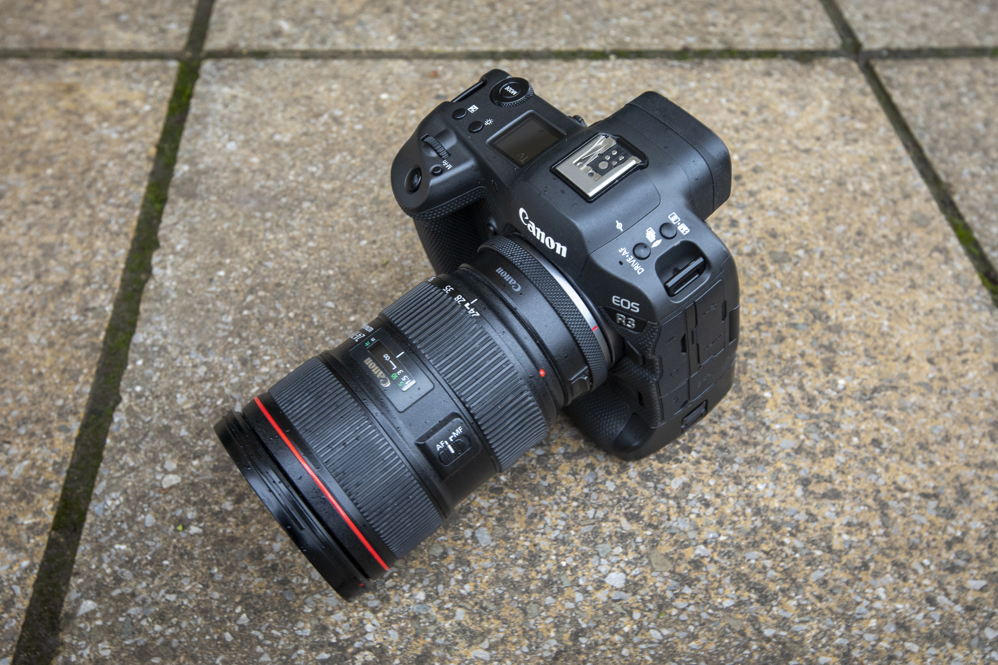 Canon EOS R3 with the Canon EF 24-70mm f/2.8L II USM on pavement