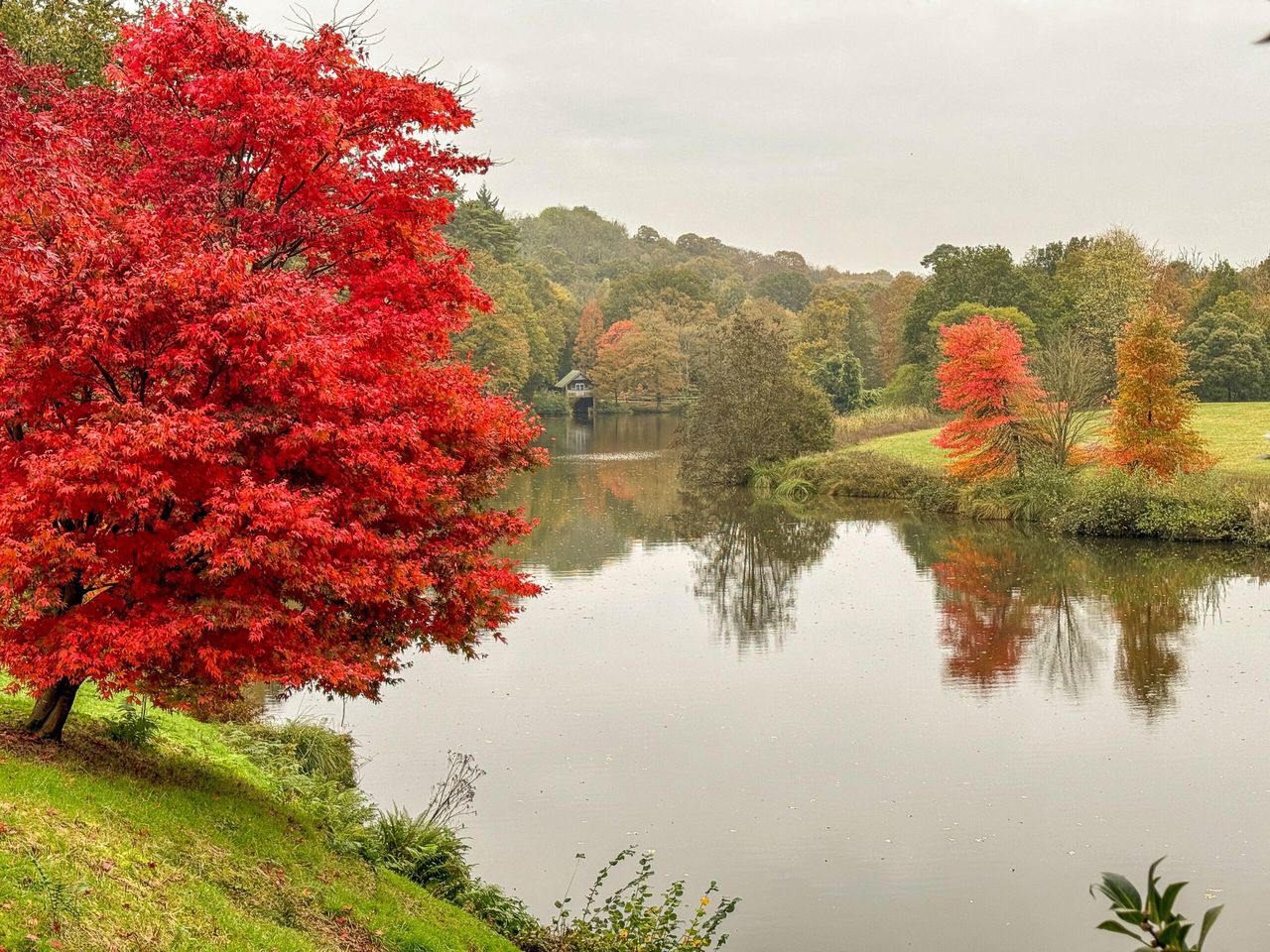 It&#039;s grey, grim and dreary outside... but Winkworth Arboretum, near Godalming, always brings its own light. Wonderful.