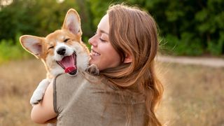 A corgi cuddling up to a woman, one of the signs your dog loves you