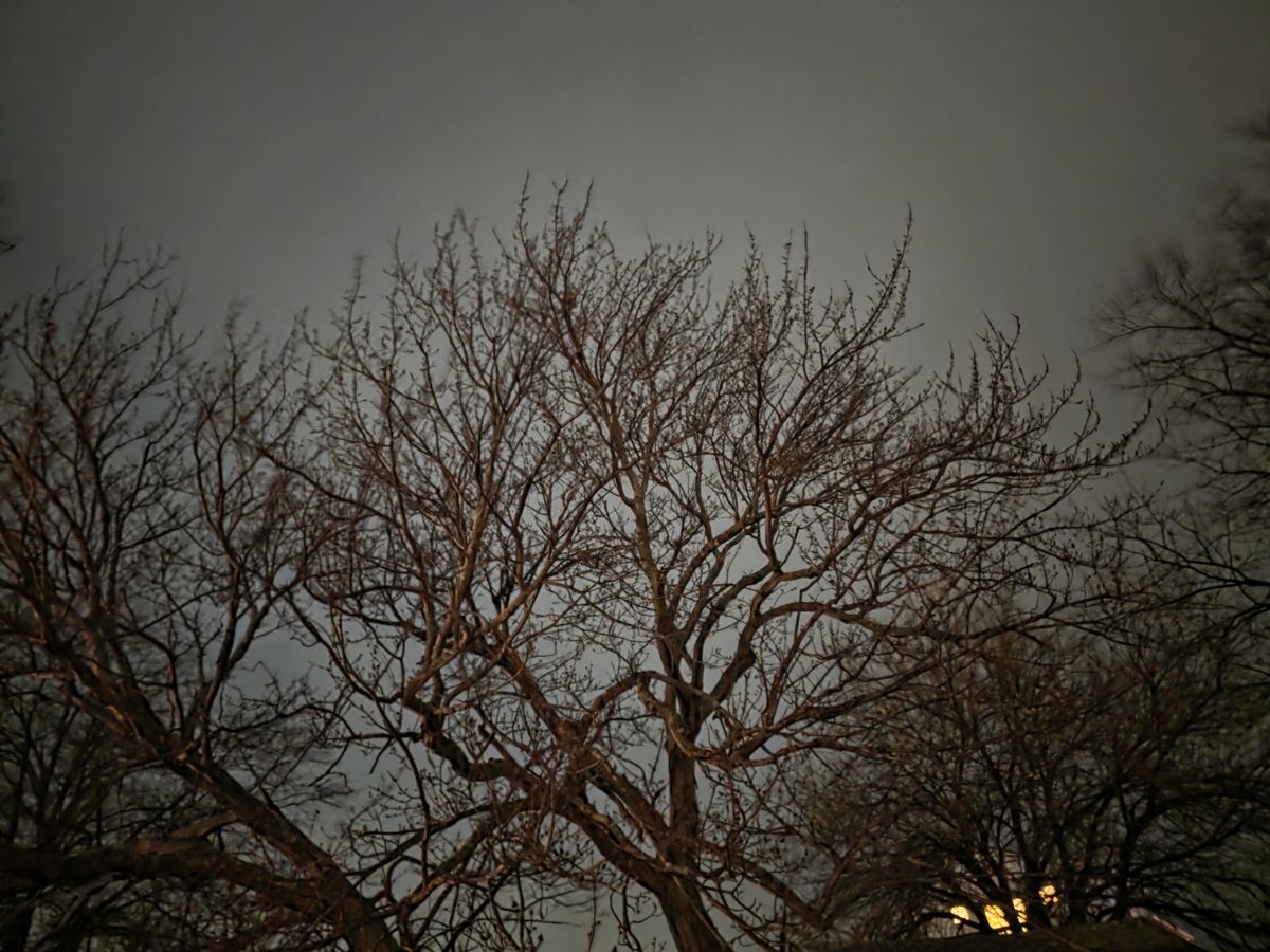 Samsung Galaxy S25 Ultra low light.