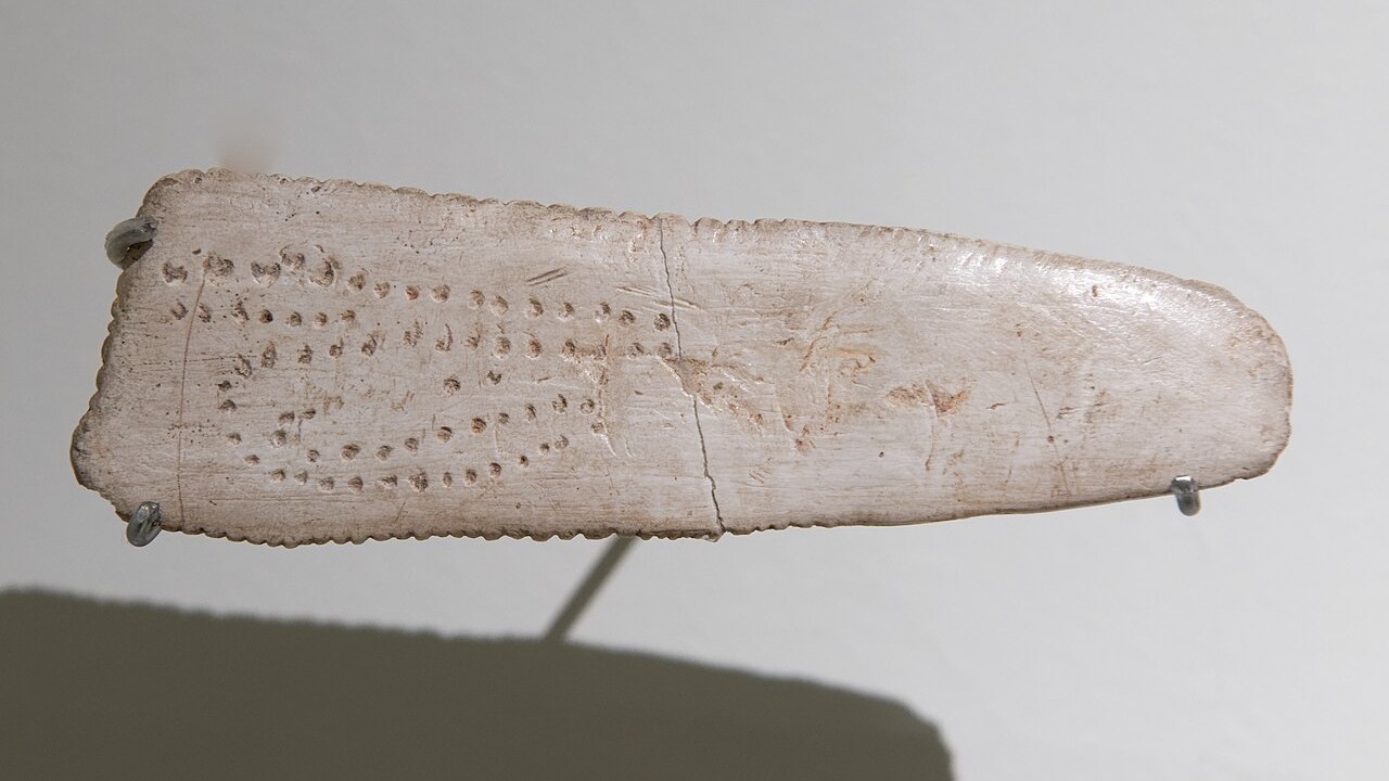 a sliver of bone with circular engravings carved into its face