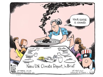 Political cartoon UN climate report environment