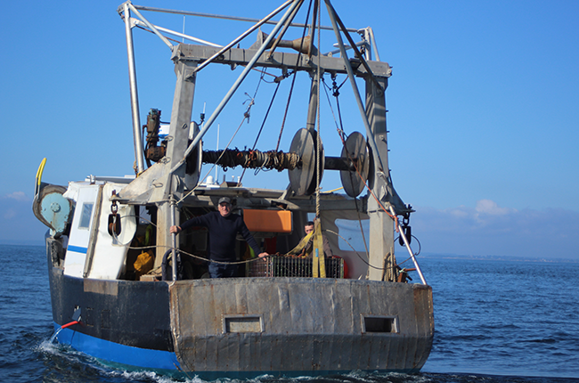 Ch&acirc;teau Tour Castillon Channel