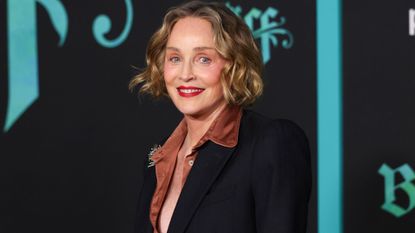 Sharon Stone attending a film premiere in February 2026