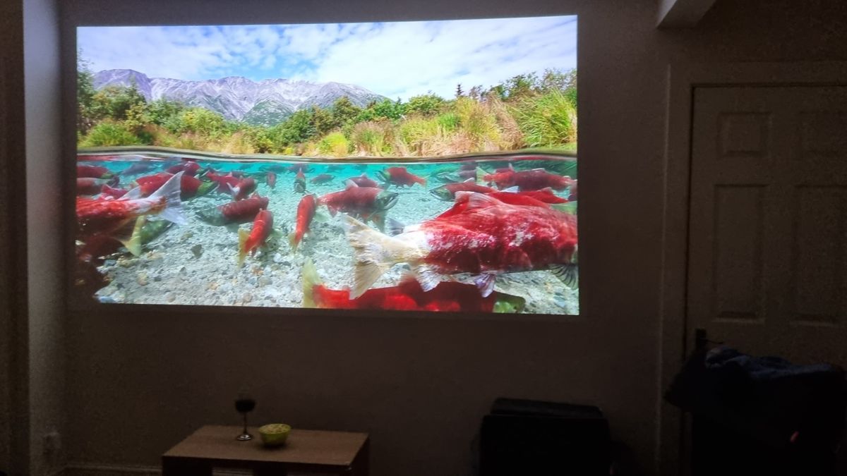 Dangbei Neo Smart Projector playing Blue Planet