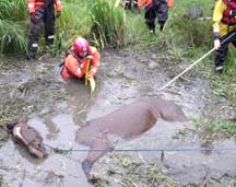 DSCF2856.jpg