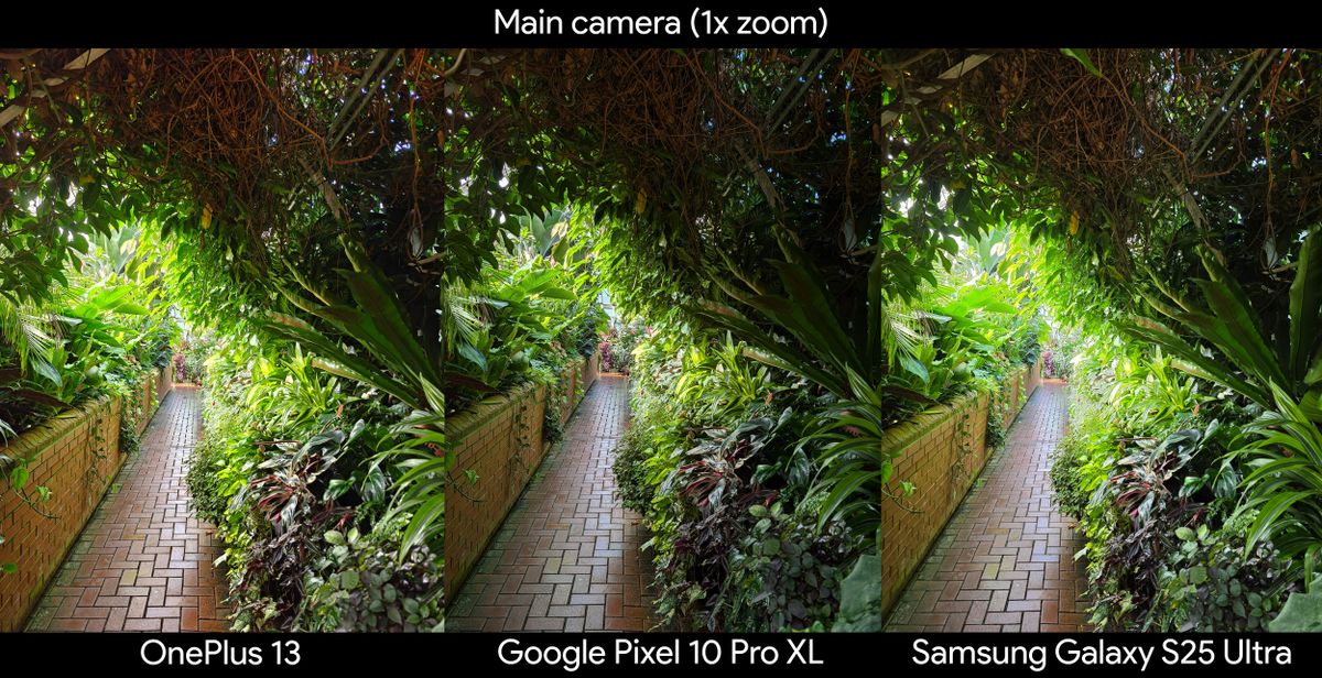 Comparing photo quality of a starkly lit greenhouse between a Google Pixel 10 Pro XL, OnePlus 13, and a Samsung Galaxy S25 Ultra