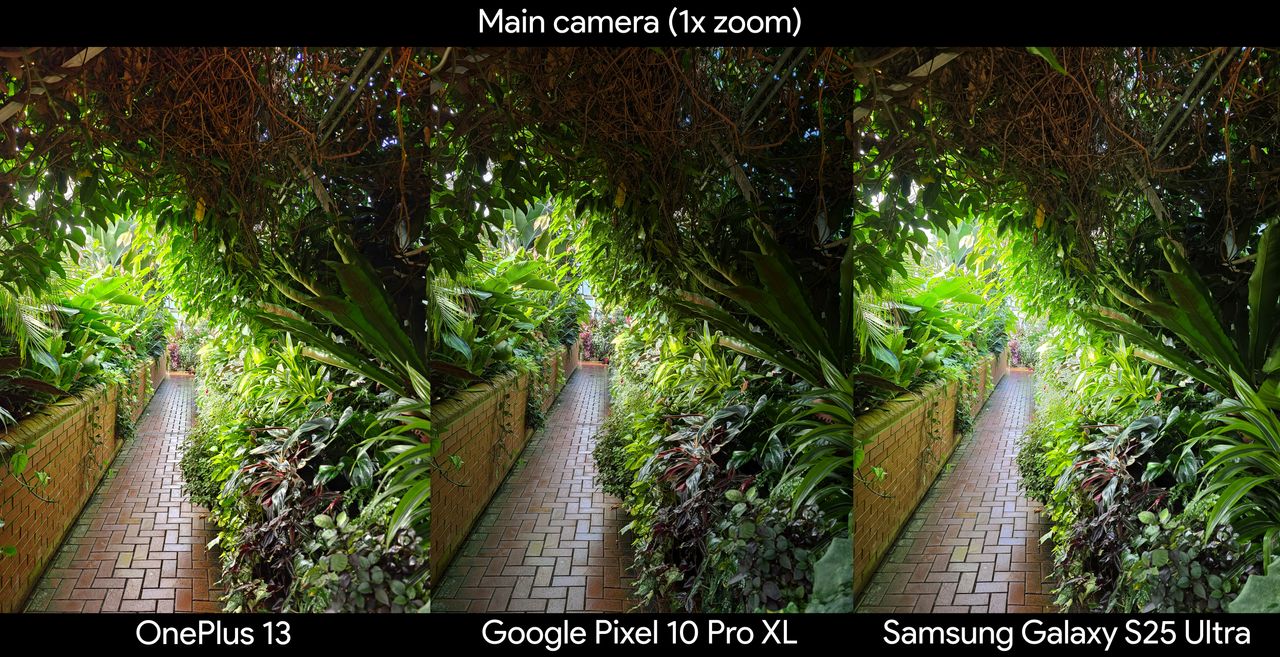 Comparing photo quality of a starkly lit greenhouse between a Google Pixel 10 Pro XL, OnePlus 13, and a Samsung Galaxy S25 Ultra