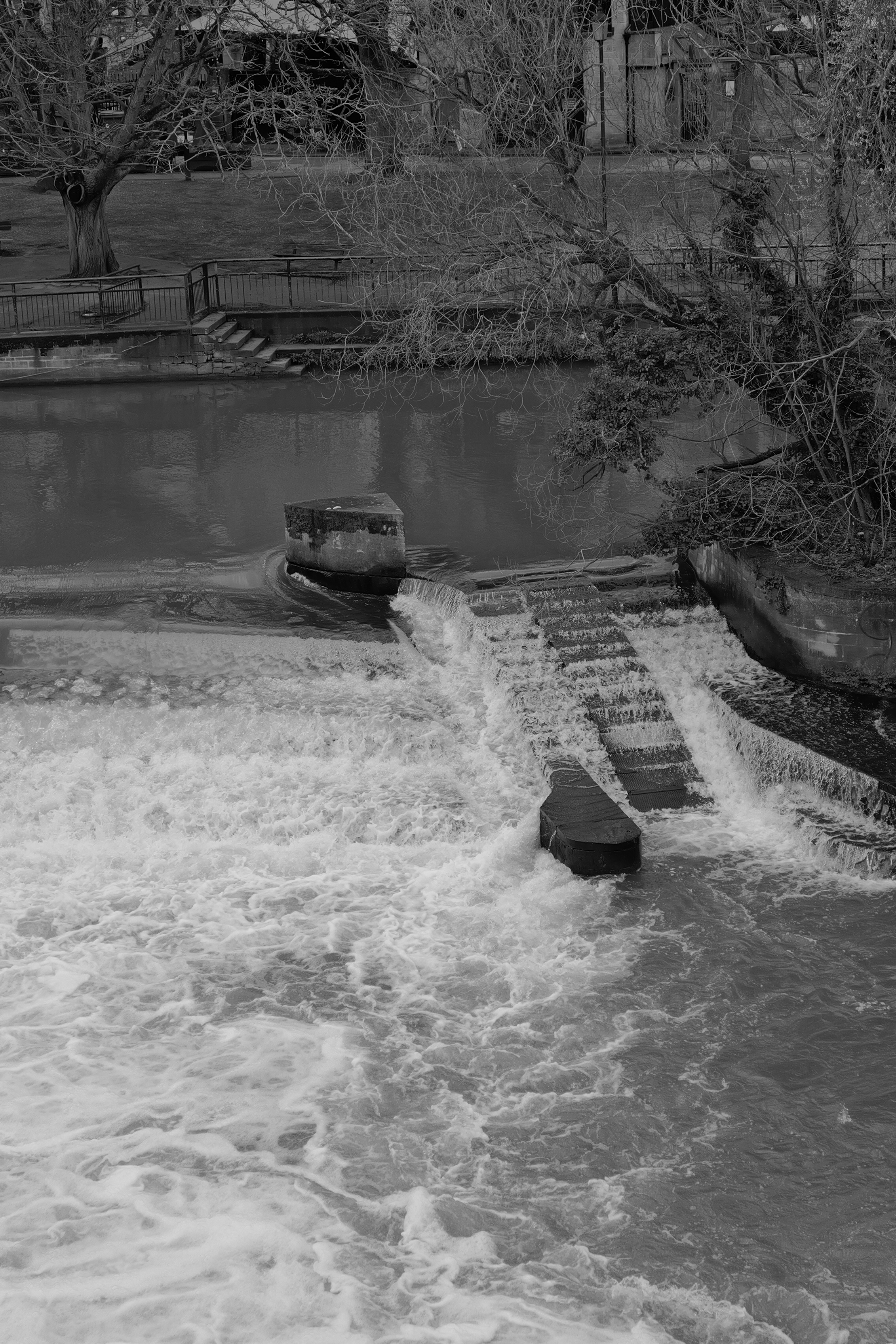 A photo taken on a Leica Q3 Monochrom black-and-white camera