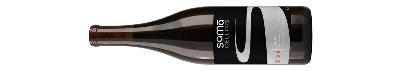 DWWA 2025 American winners