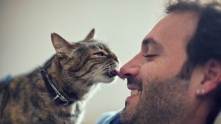 why do cats lick you