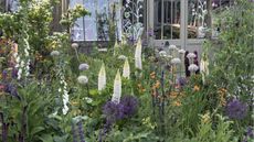 Why are there mushrooms in my flower bed
