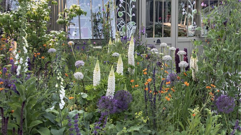 View of 3 plants for natural dye and how to use them | Homes and Gardens