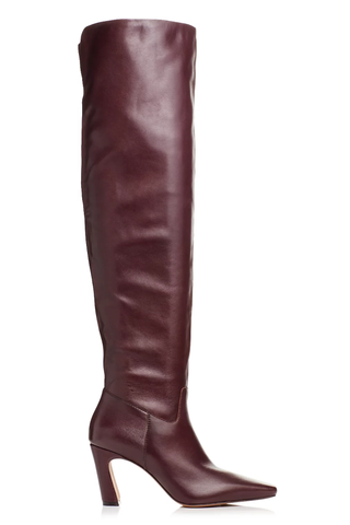 Aqua Karin Pointed Toe Thigh High Boots