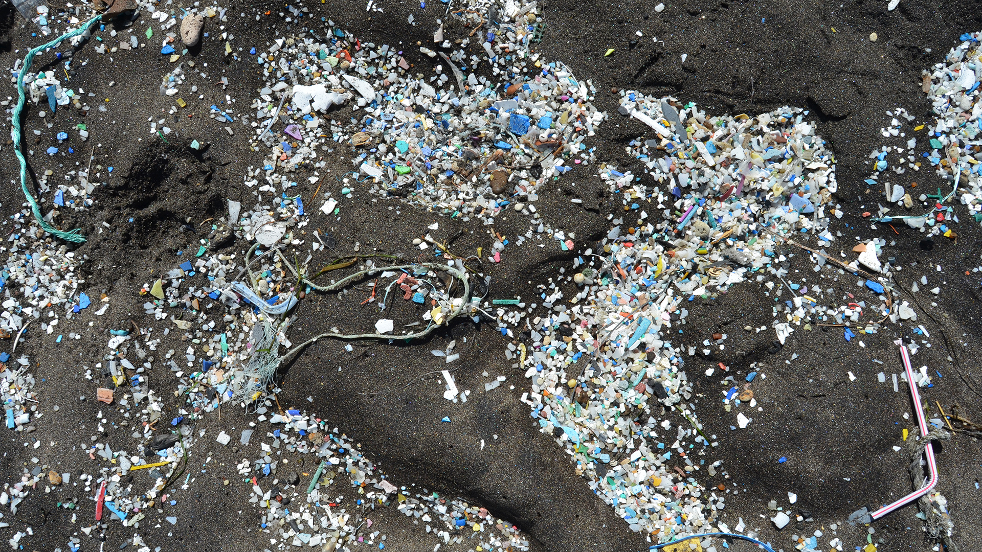 This image shows a close up photo of a dark brown beach that is littered with microplastic (lots and lots of small pieces of colorful plastic strewn about like confetti).