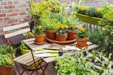 A small backyard with plants being potted up on a wooden table 