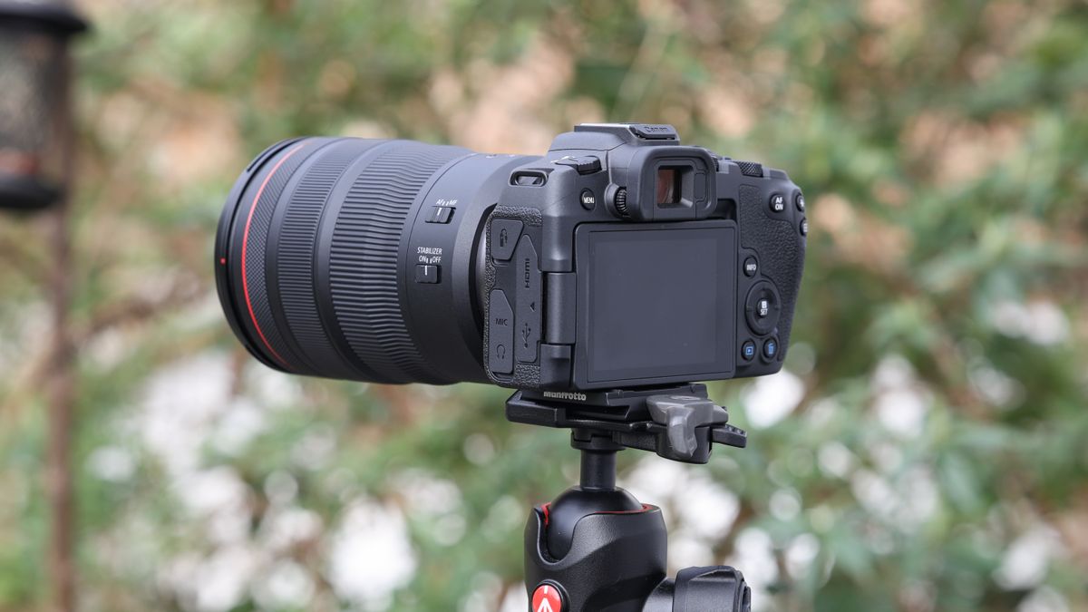 Canon EOS R8 mirrorless digital camera