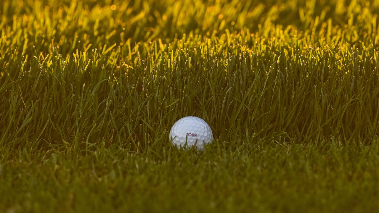 A golf ball nestles against the collar of rough