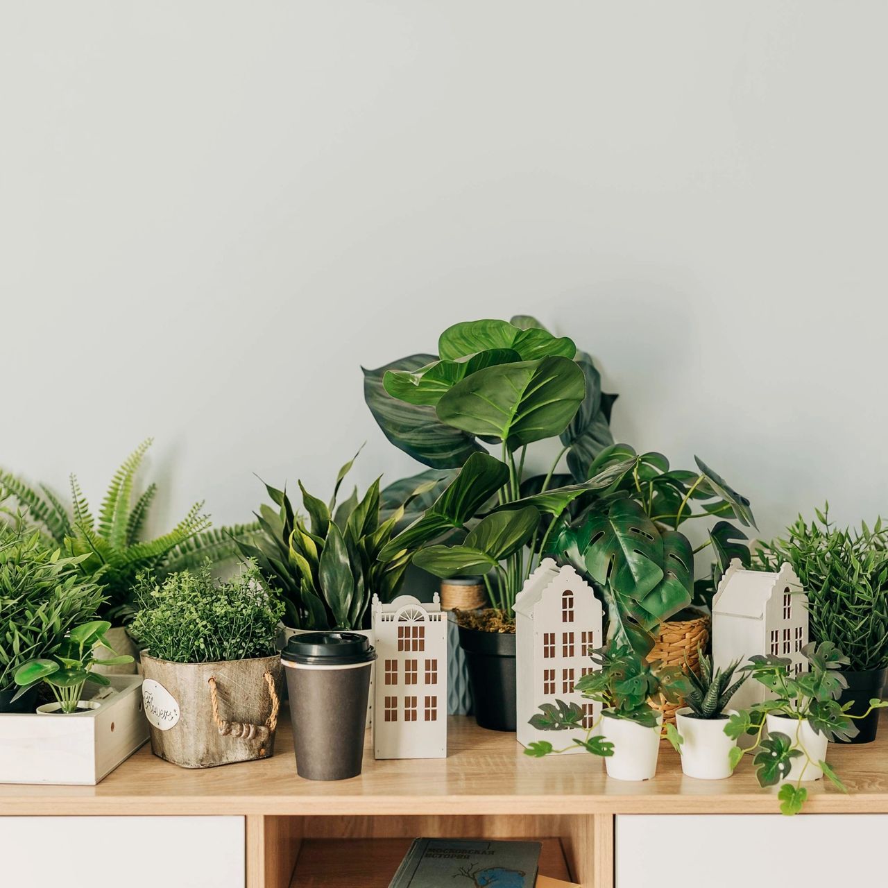 Collection of artificial houseplants