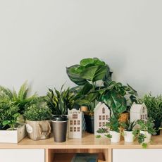Collection of artificial houseplants