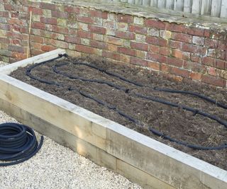 A soaker hose installed on the surface of a raised bed in a vegetable garden