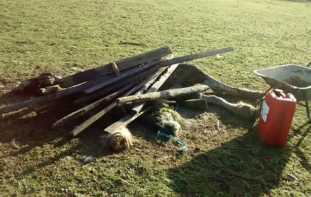 dumped horse wood