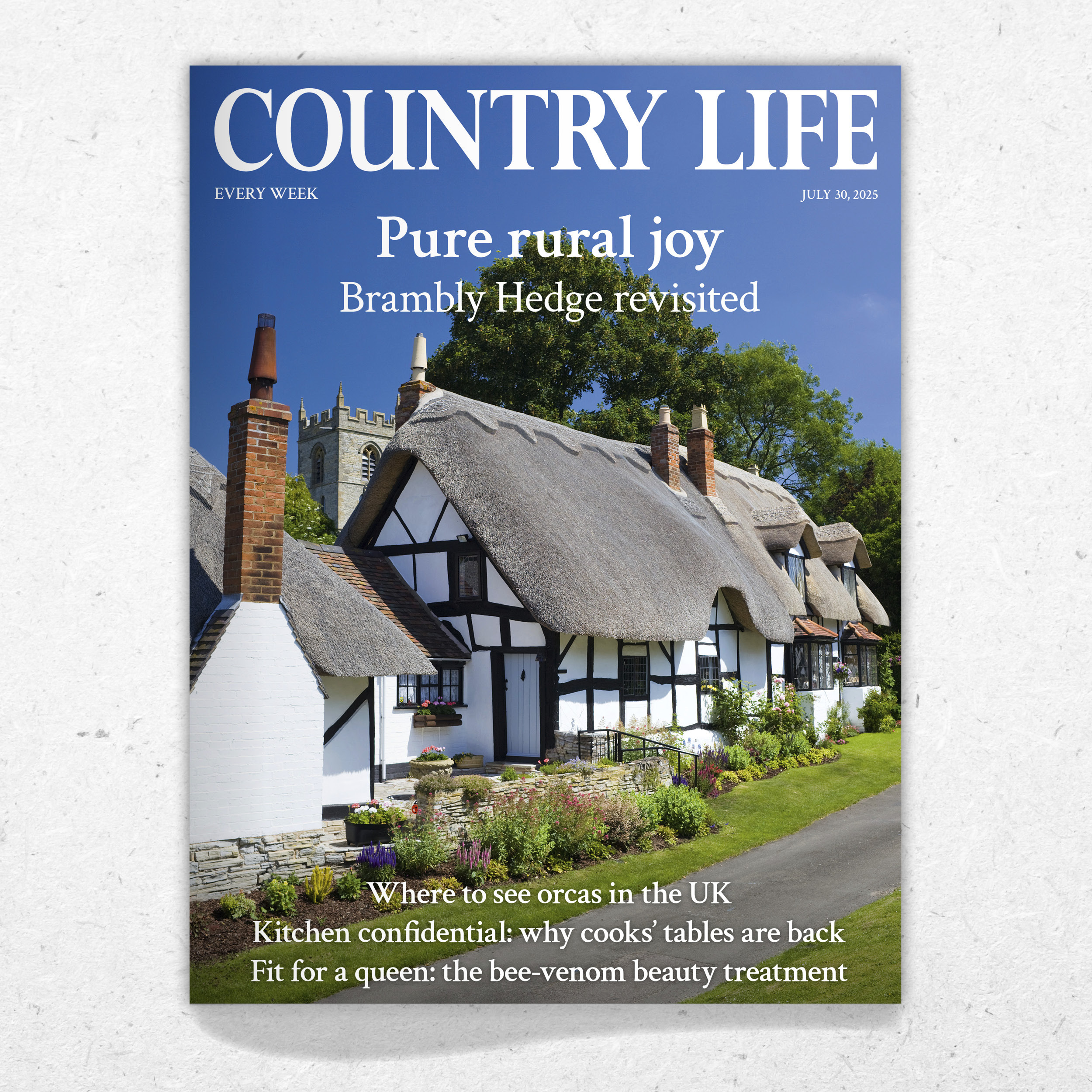 Cover of Country Life July 30, 2025, spots orcas around Britain, looks at Brambly Hedge and celebrates Revd W/V/ Awdry, the creator of Thomas the Tank Engine.