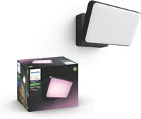 Philips Hue White & Colour Ambiance Discover Outdoor Floodlight