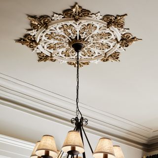 Intricate gold accent lighting fixture hung on grey ceiling