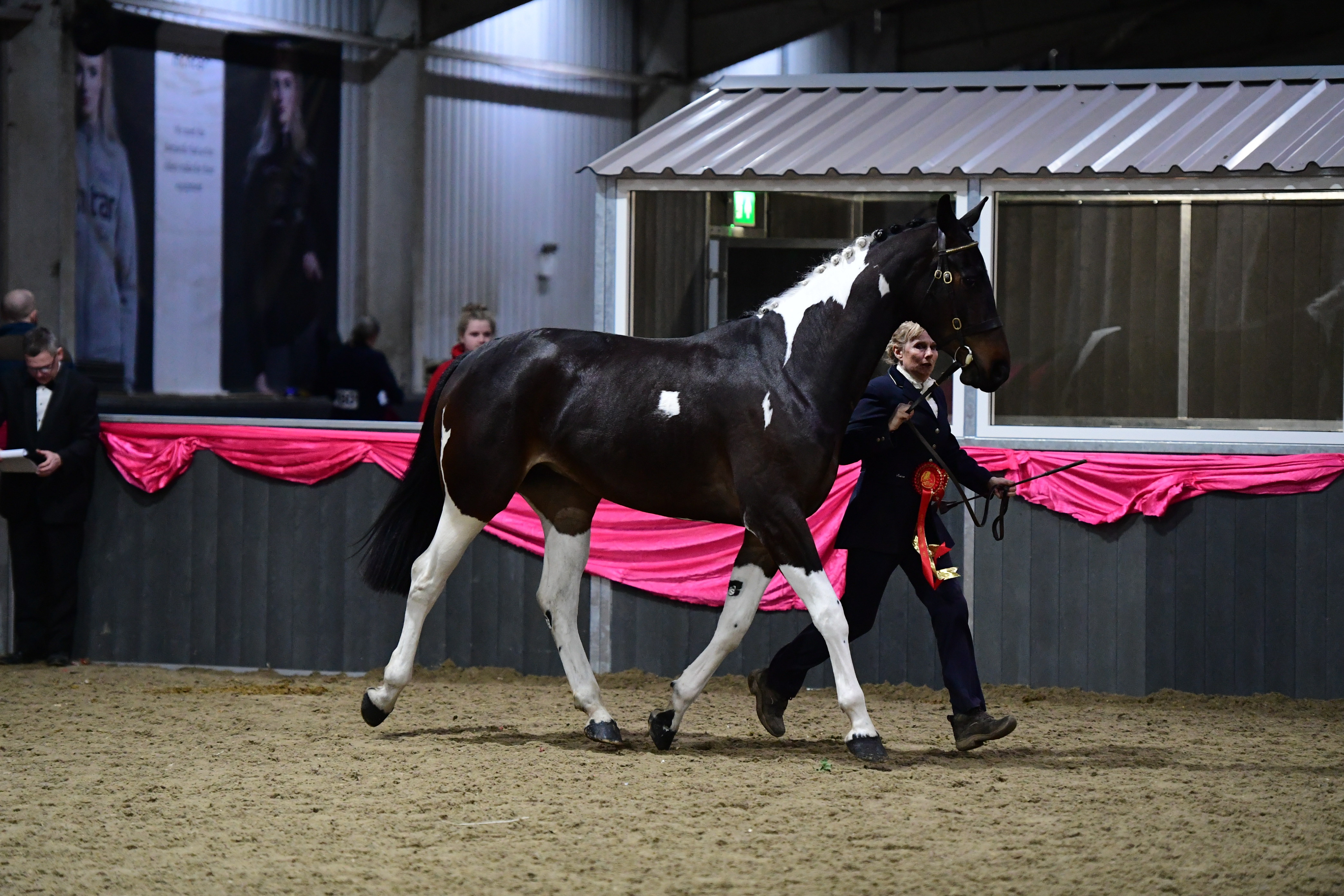 HorseNo46_Showing_PN19_2752_272075731_465343851