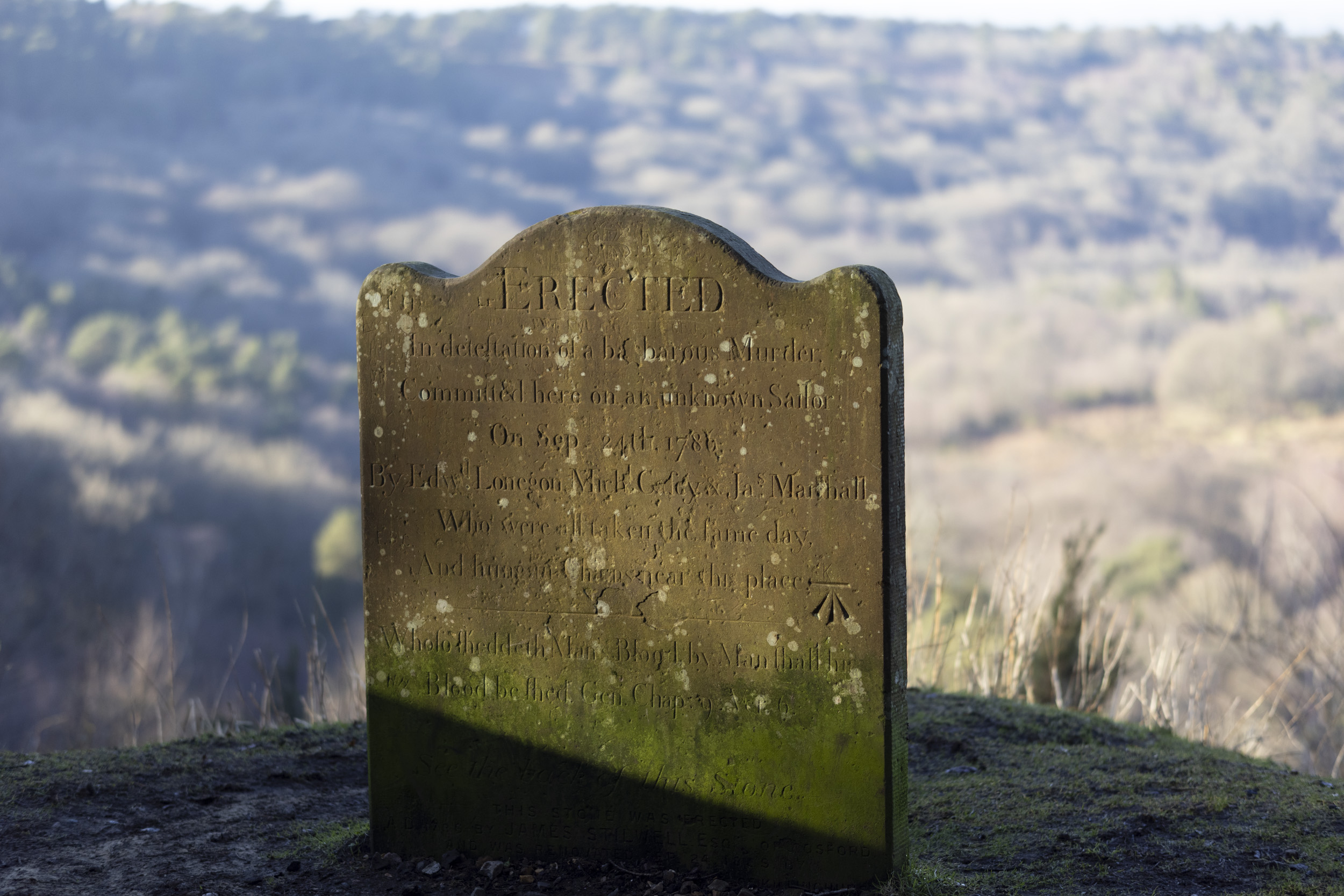 Sigma 56mm F1.4 DC DN Contemporary image gallery: gravestone on hillside