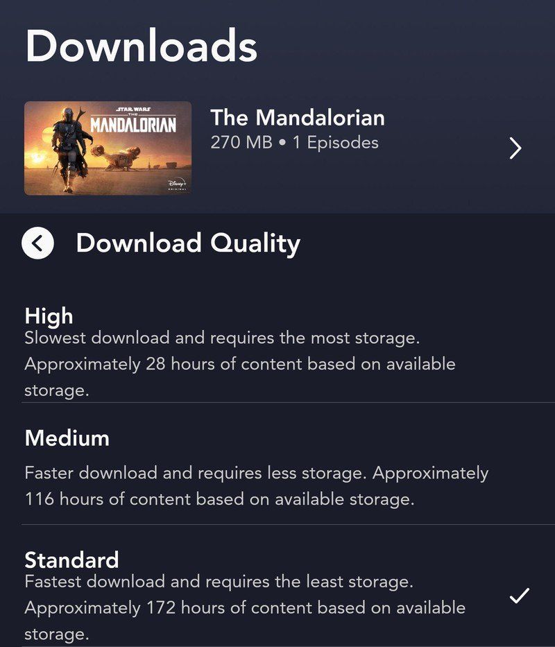 Disney+ standard download example