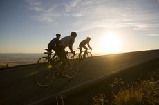 Cyclists on a group ride as the sun is setting