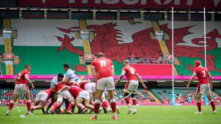 Wales vs Argentina test match rugby union in Cardiff