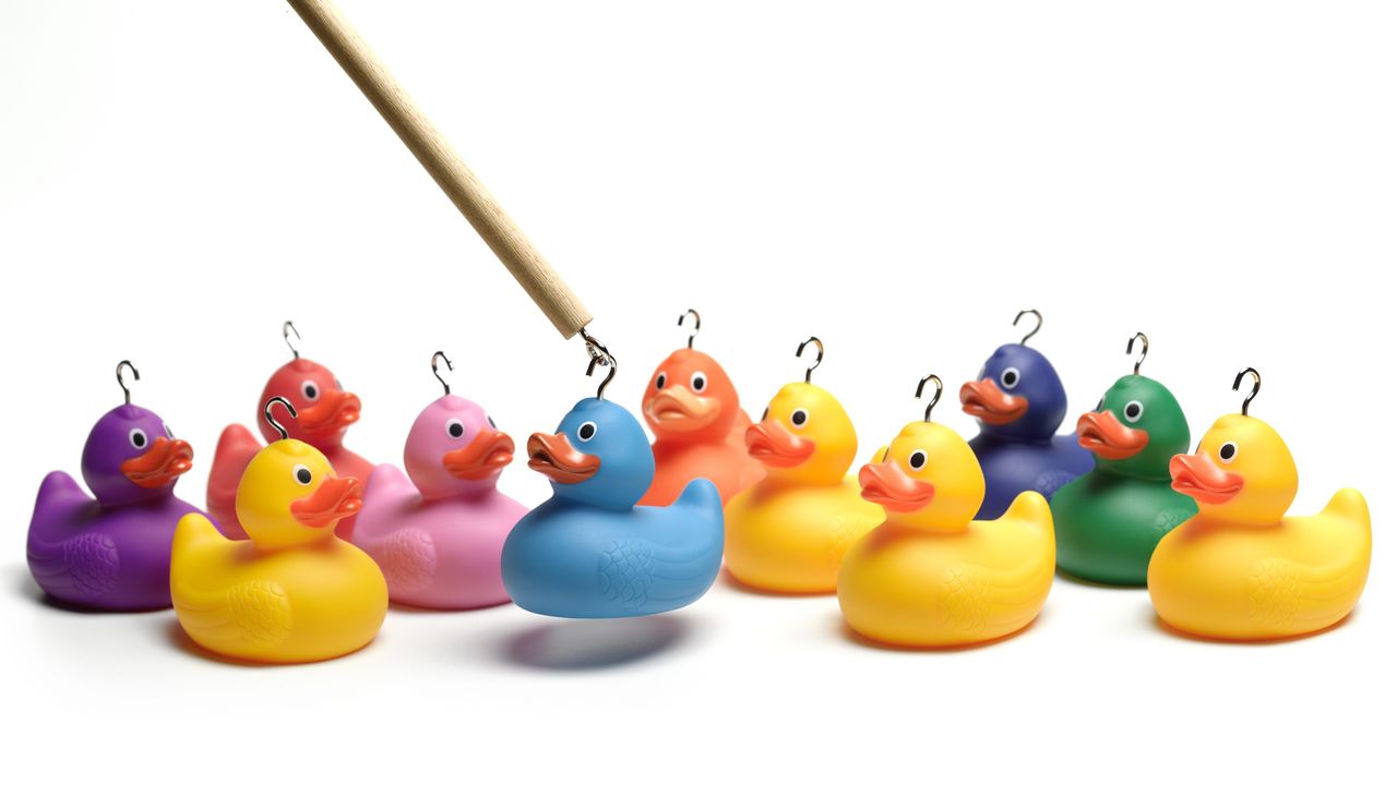 A wooden pole with a hook chooses a blue rubber ducky among multicolored rubber duckies.