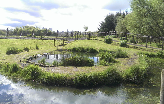 RDA_fairy_glen1