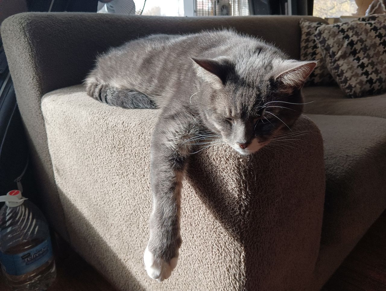 Poco M4 Pro test shot