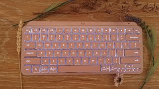 Logitech MX Keys Mini from the front surrounded by dried flowers