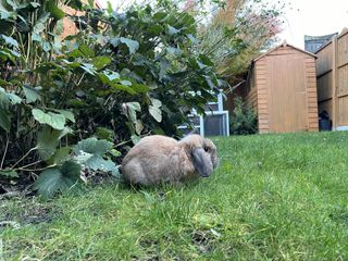 iPhone 12 Pro Max sensor test